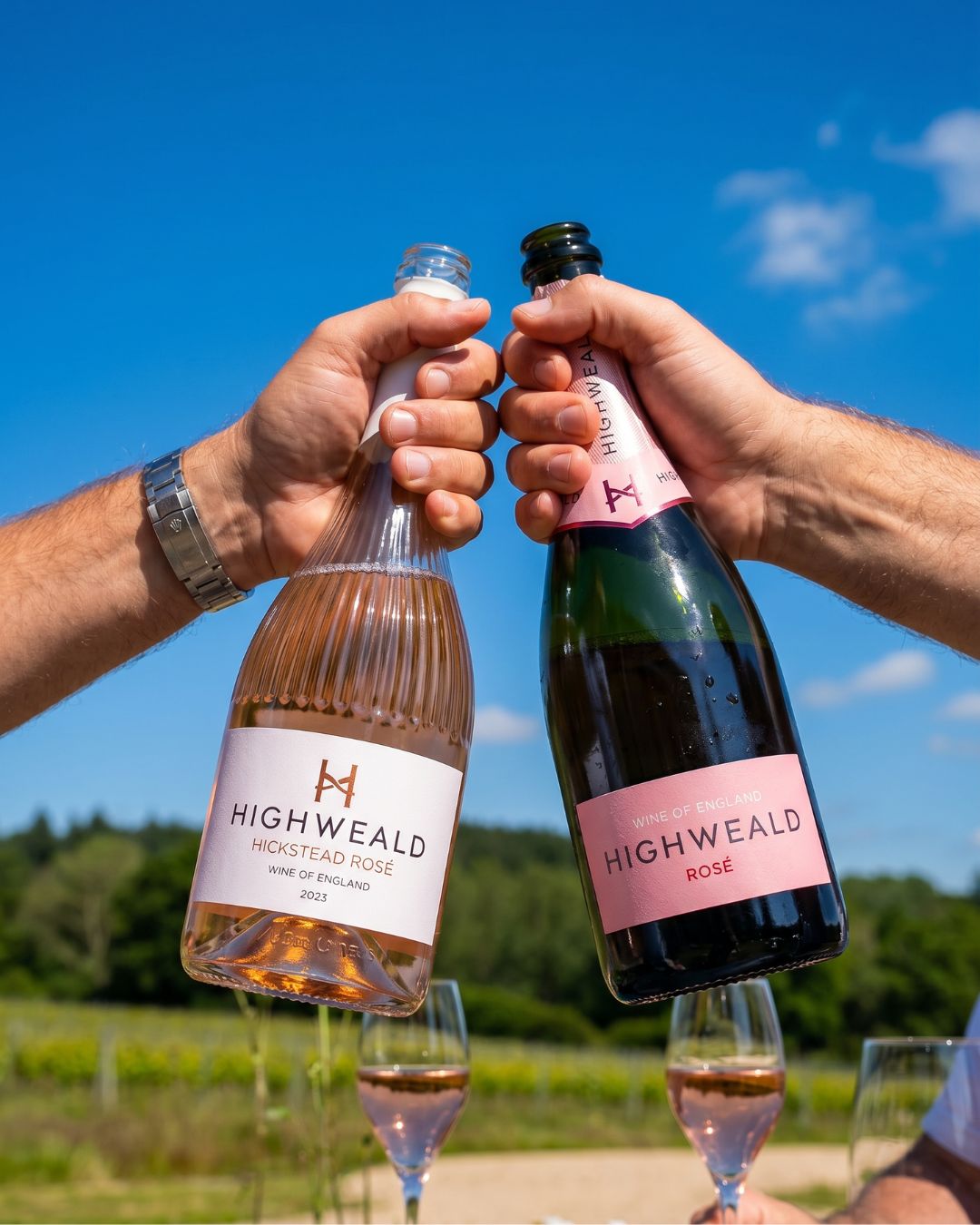 Mixed Rosé Case (6 bottles)